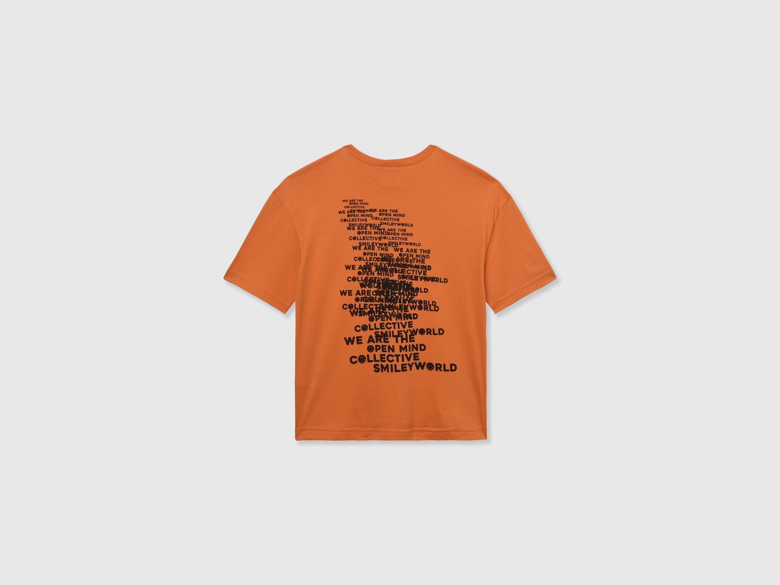 United Colors Of Benetton / Футболка с принтом для мальчика - фото 2