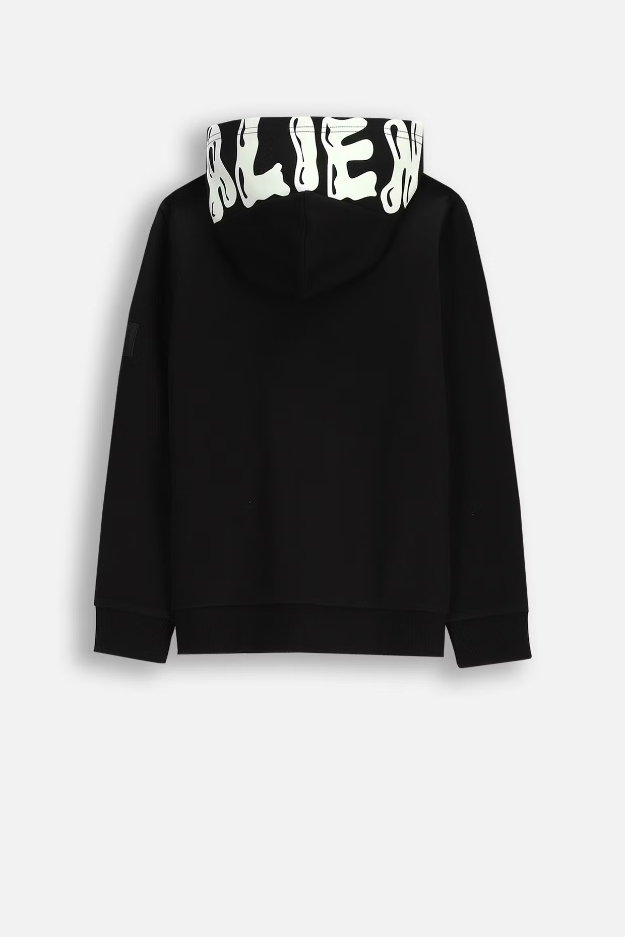 Coccodrillo / Толстовка с  принтом для мальчика