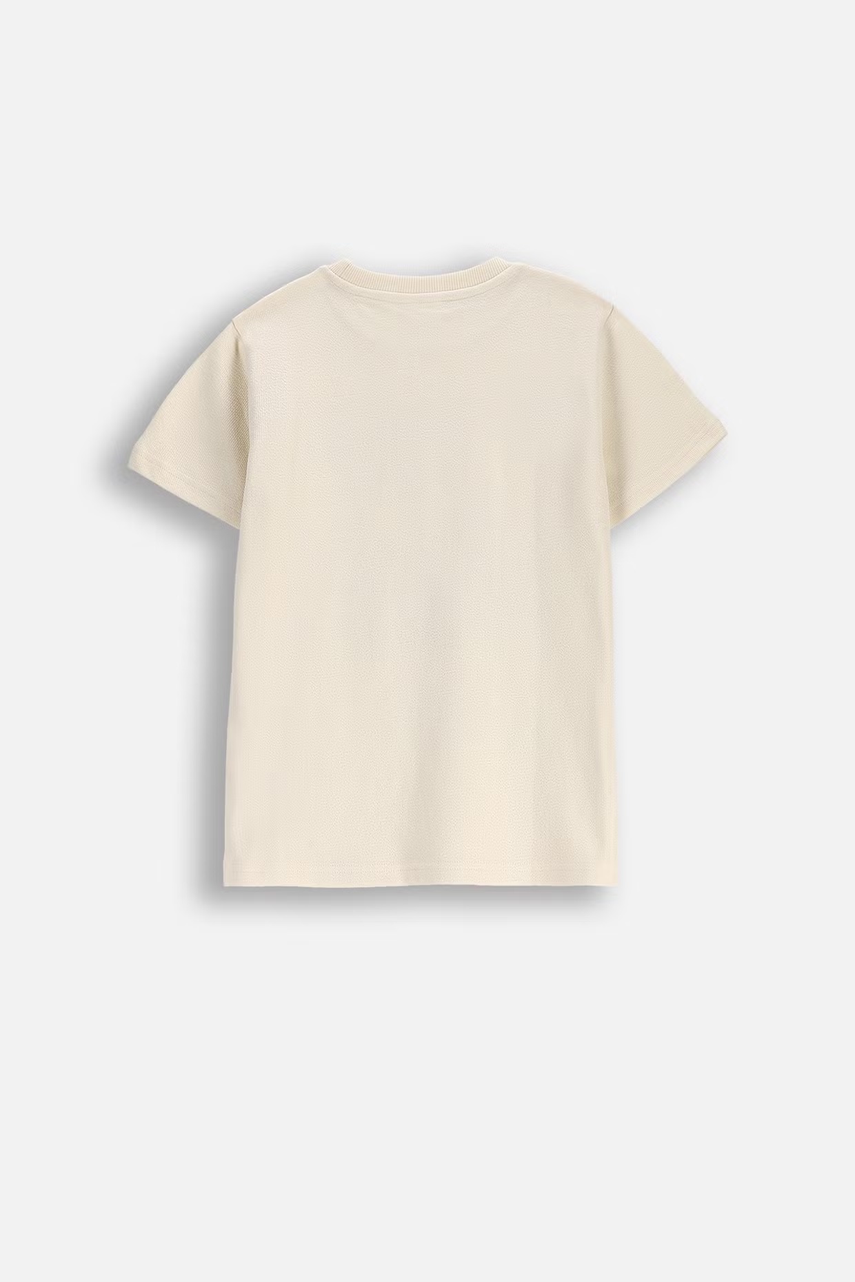 Coccodrillo / Футболка с принтом для мальчика