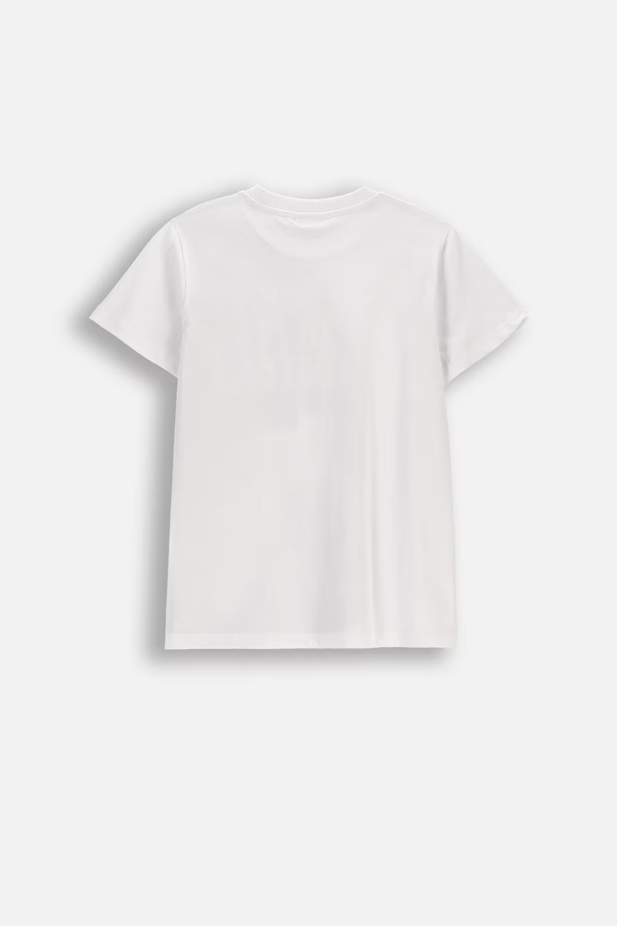 Coccodrillo / Футболка с принтом для мальчика - фото 2