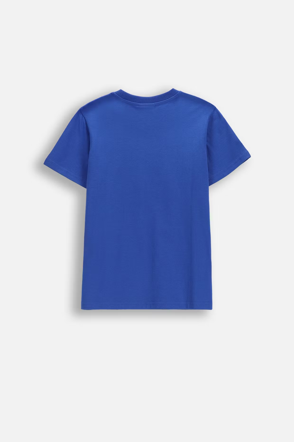 Coccodrillo / Футболка с принтом для мальчика