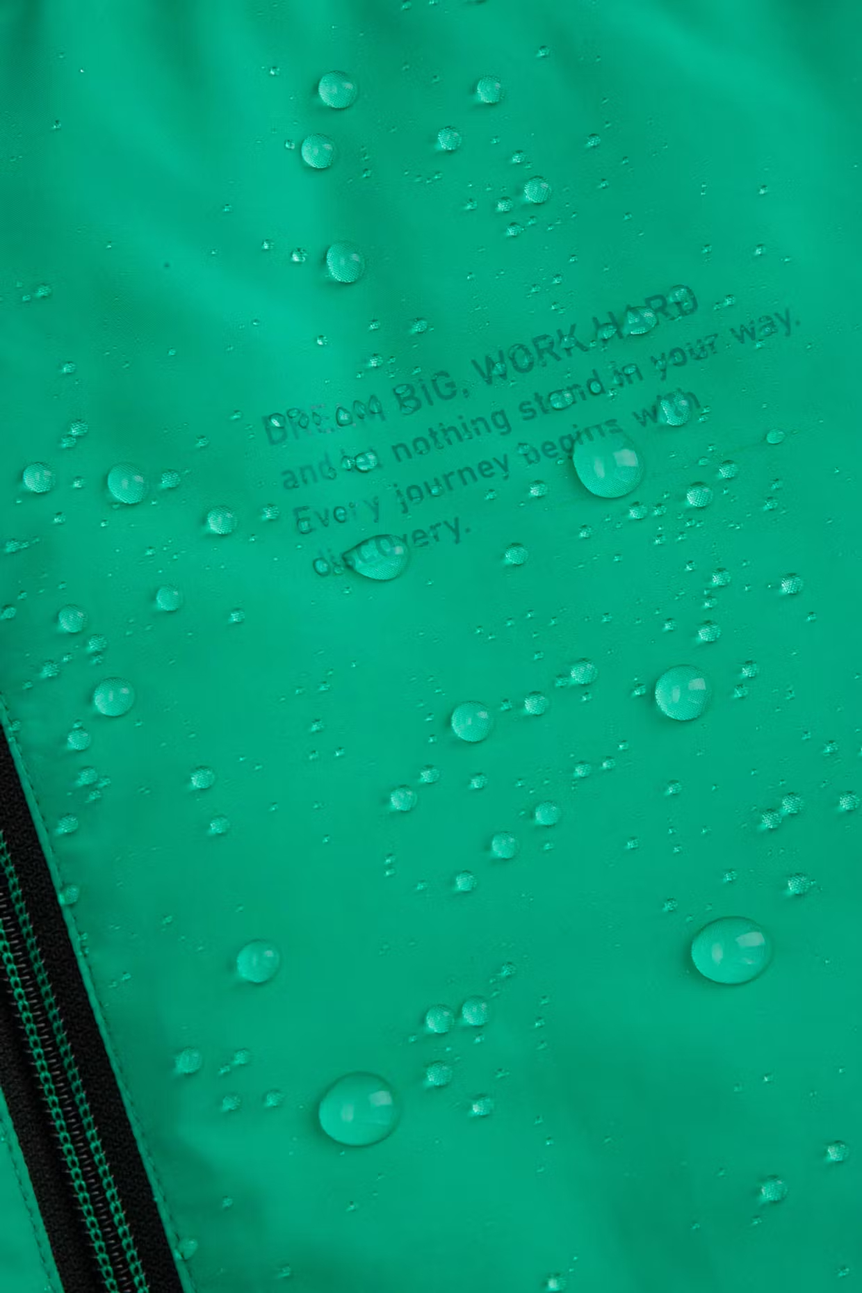 Coccodrillo / Ветровка для мальчика - фото 4