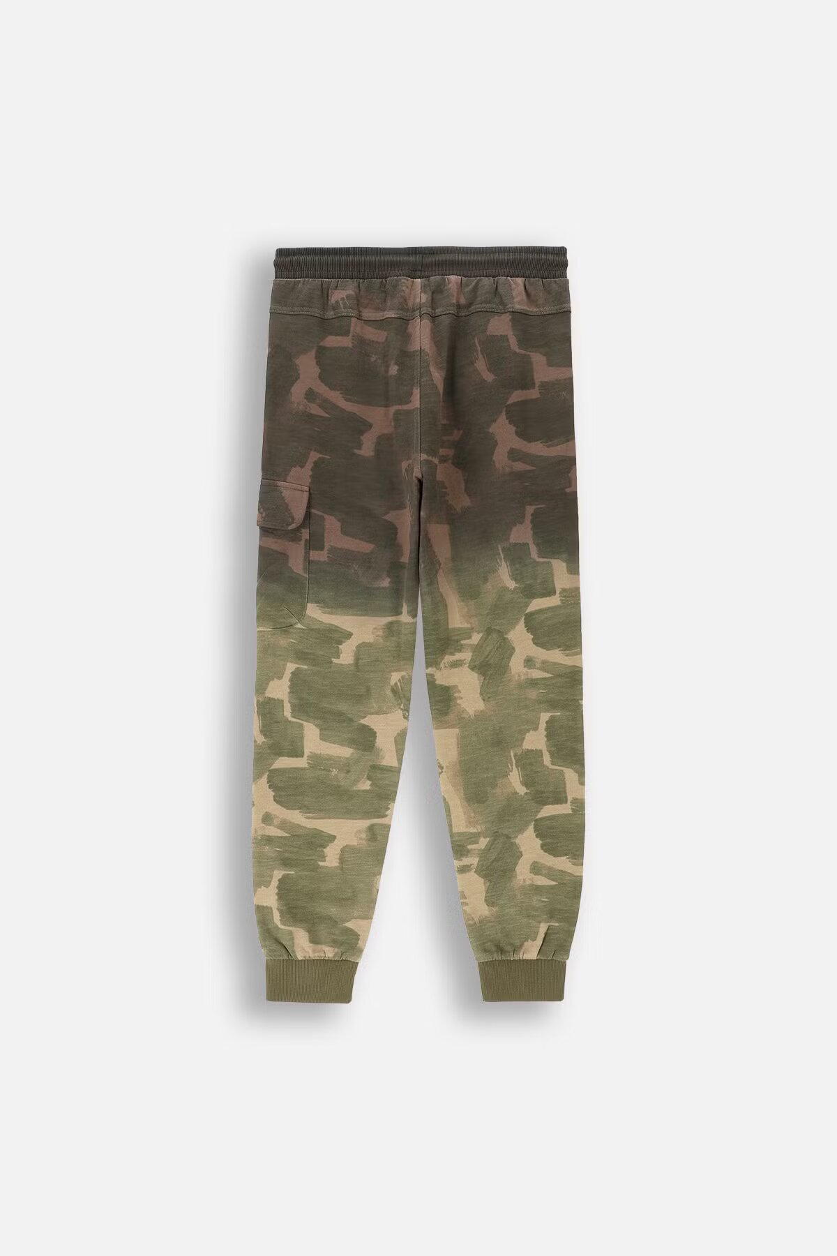 Coccodrillo / Брюки спортивные для мальчика - фото 2