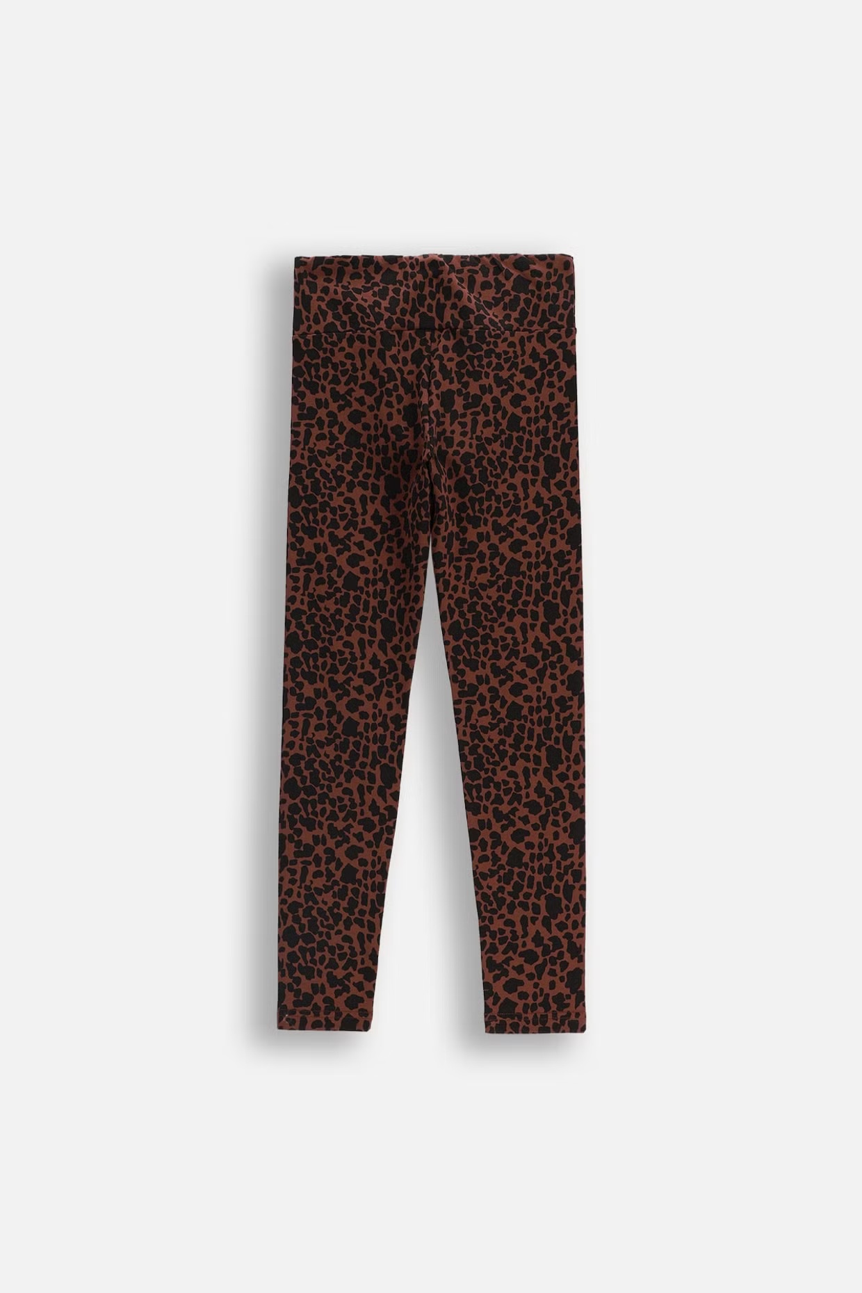 Coccodrillo / Легинсы леопардовые для девочки - фото 2