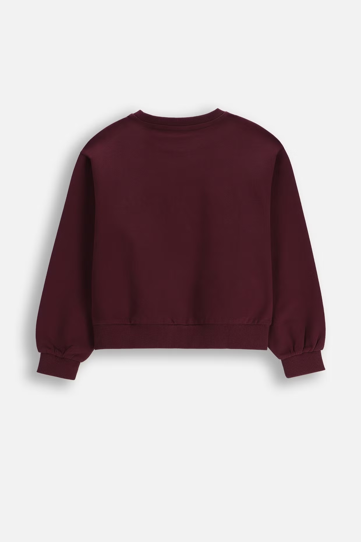 Coccodrillo / Свитшот для девочки