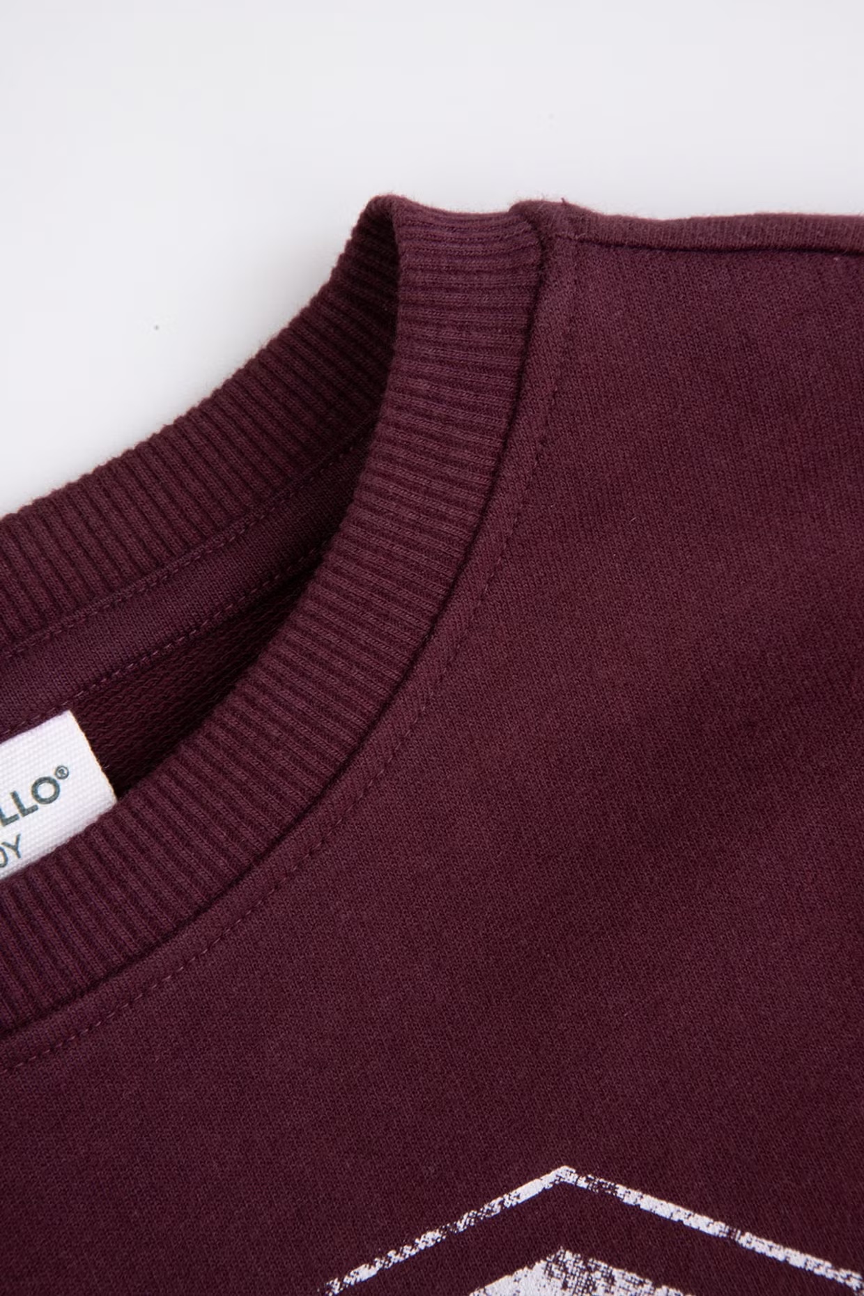 Coccodrillo / Свитшот для девочки