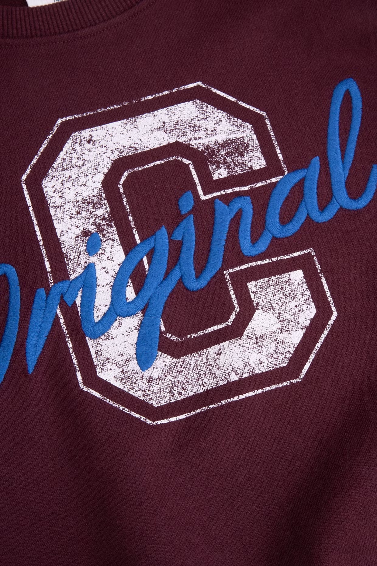 Coccodrillo / Свитшот для девочки