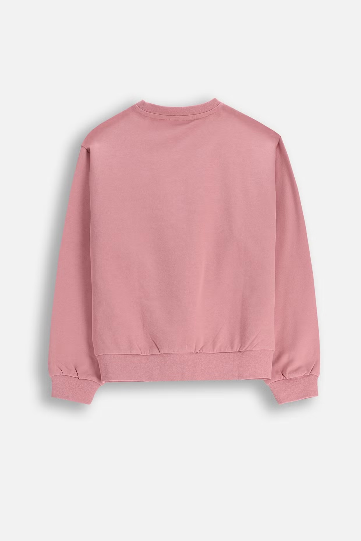 Coccodrillo / Свитшот для девочки