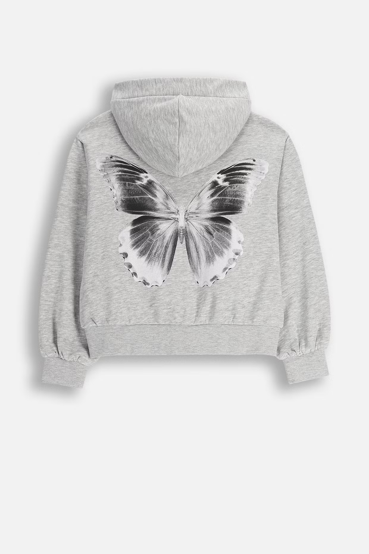 Coccodrillo / Толстовка с принтом для девочки