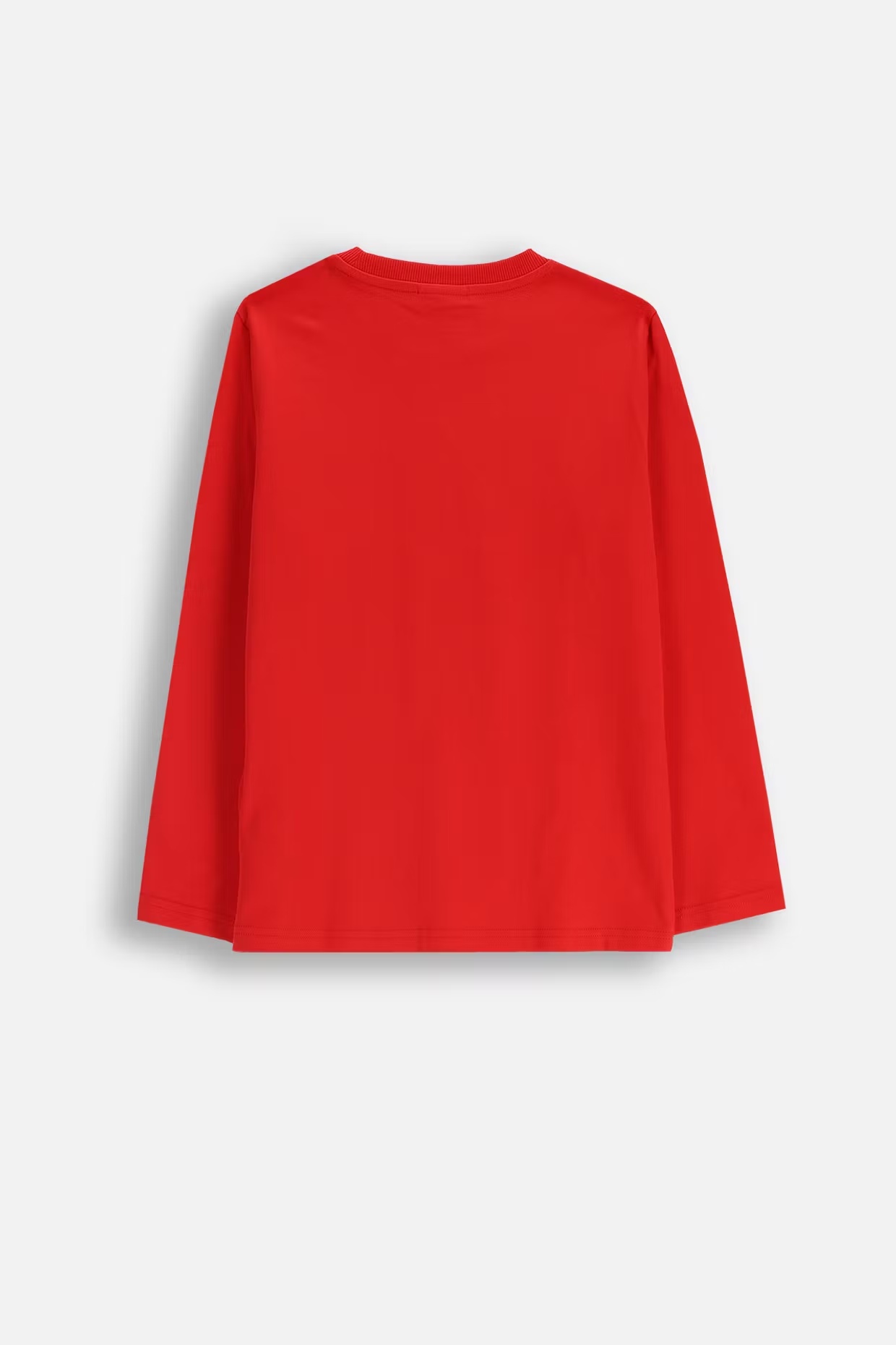 Coccodrillo / Лонгслив новогодний с капибарой для мальчика - фото 2