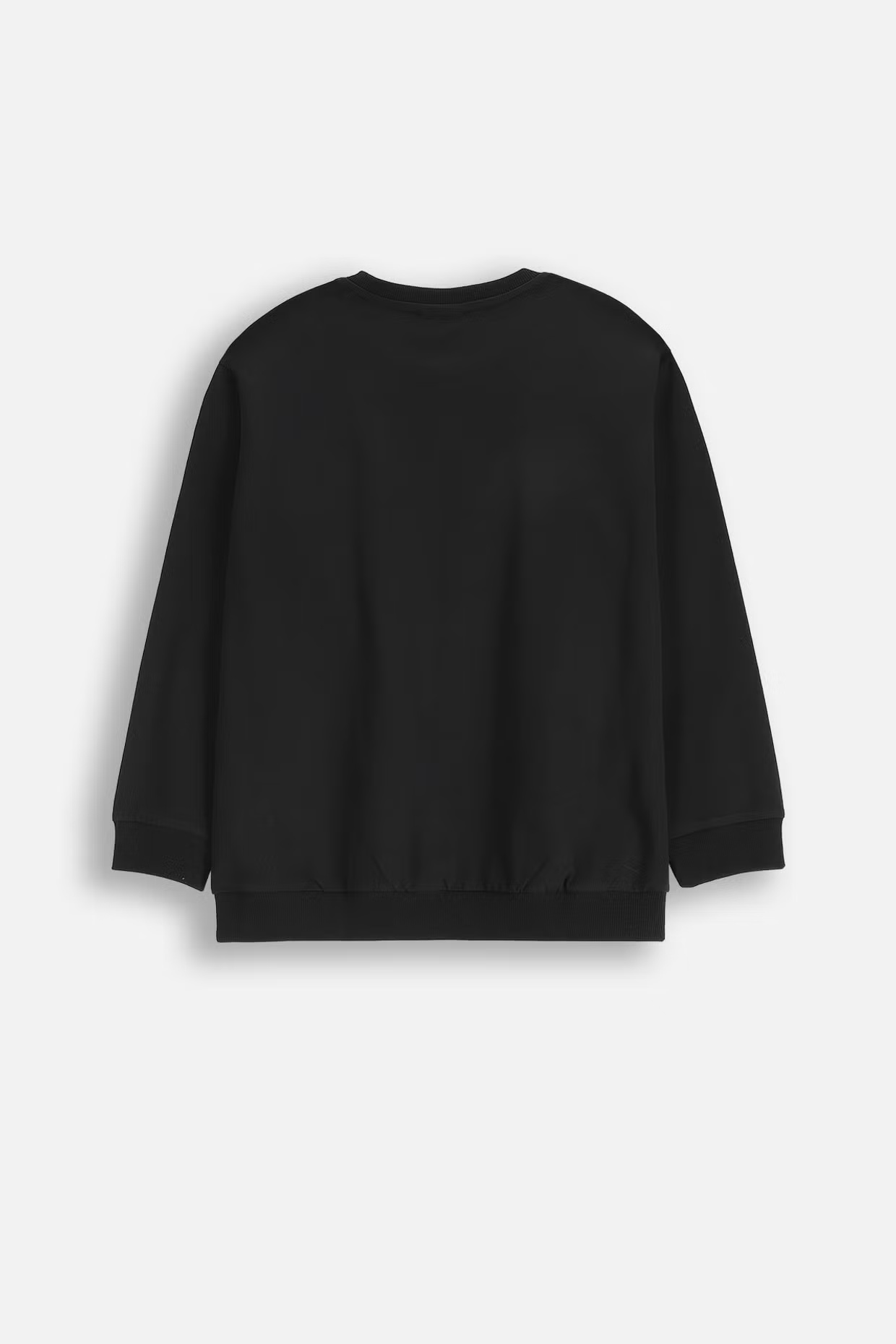 Coccodrillo / Свитшот для мальчика