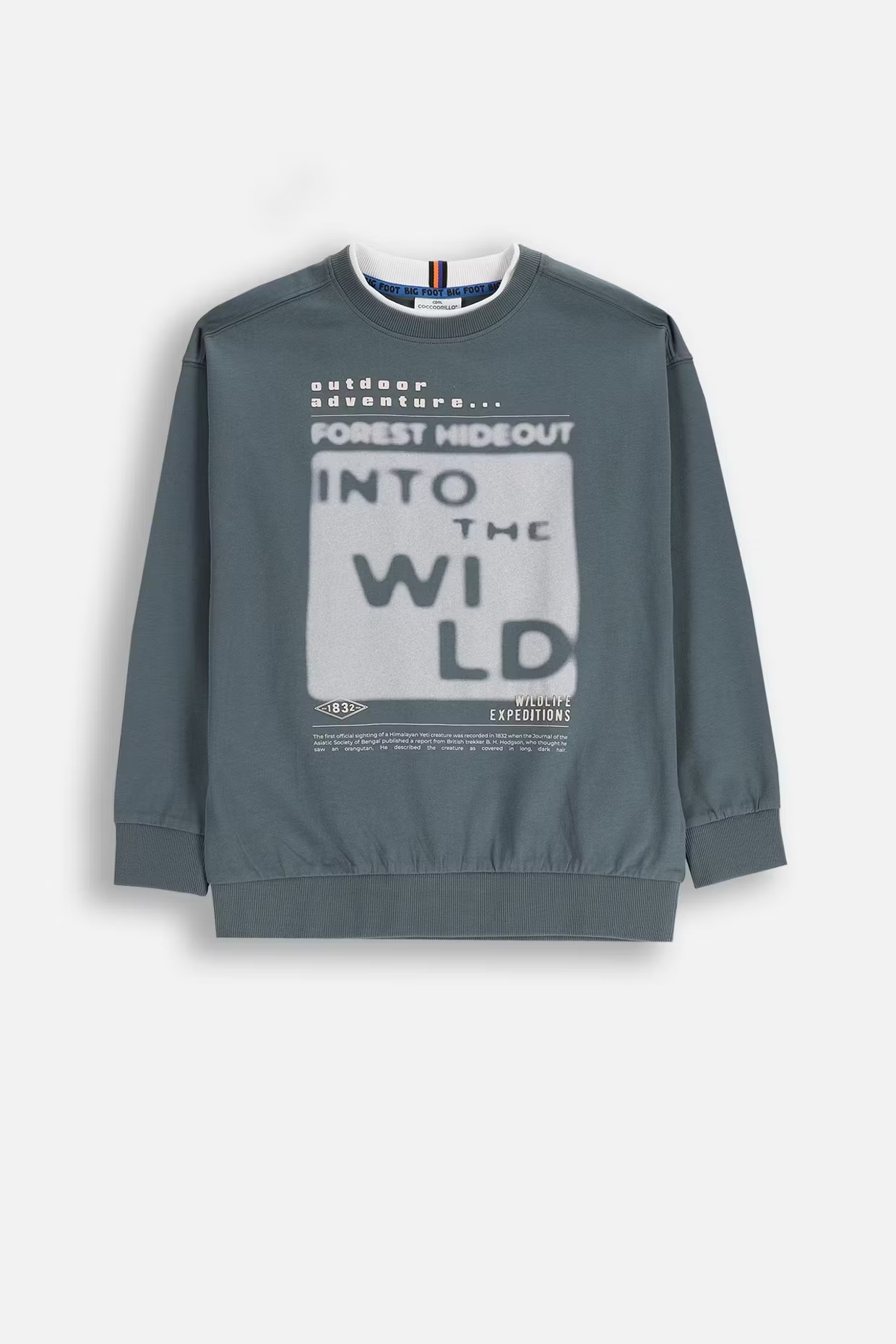 Coccodrillo / Лонгслив для мальчика