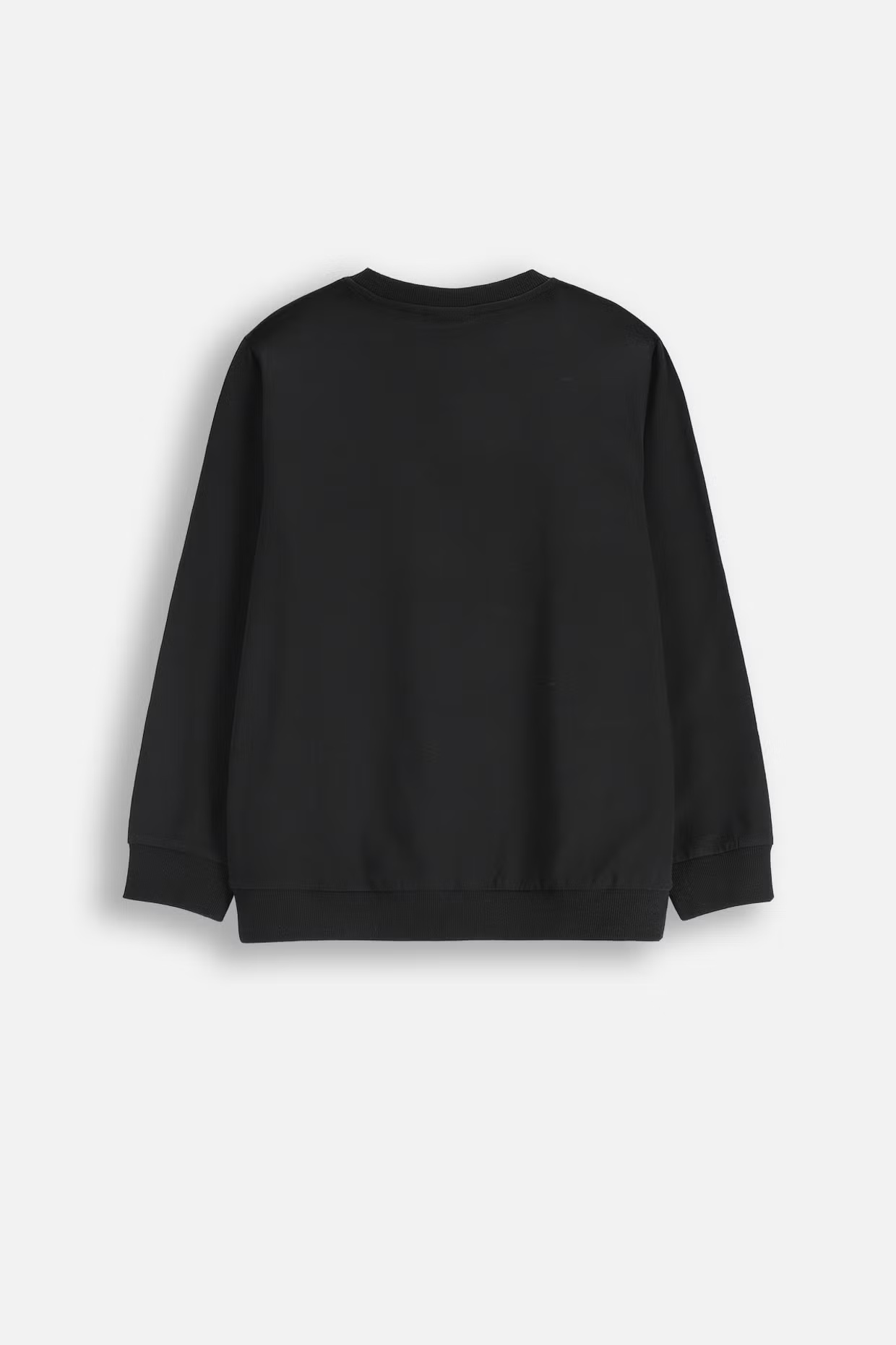 Coccodrillo / Свитшот для мальчика