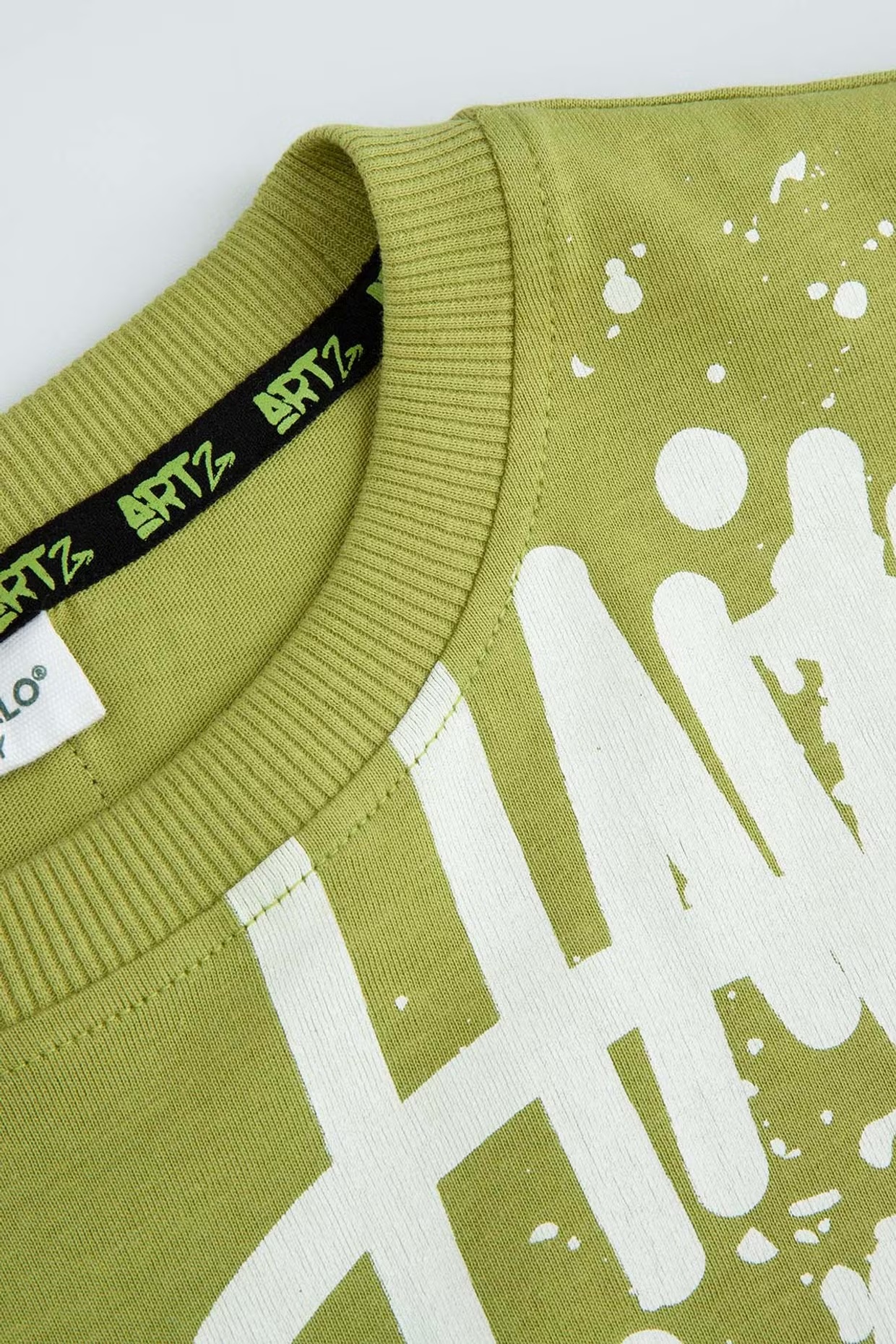 Coccodrillo / Свитшот для мальчика