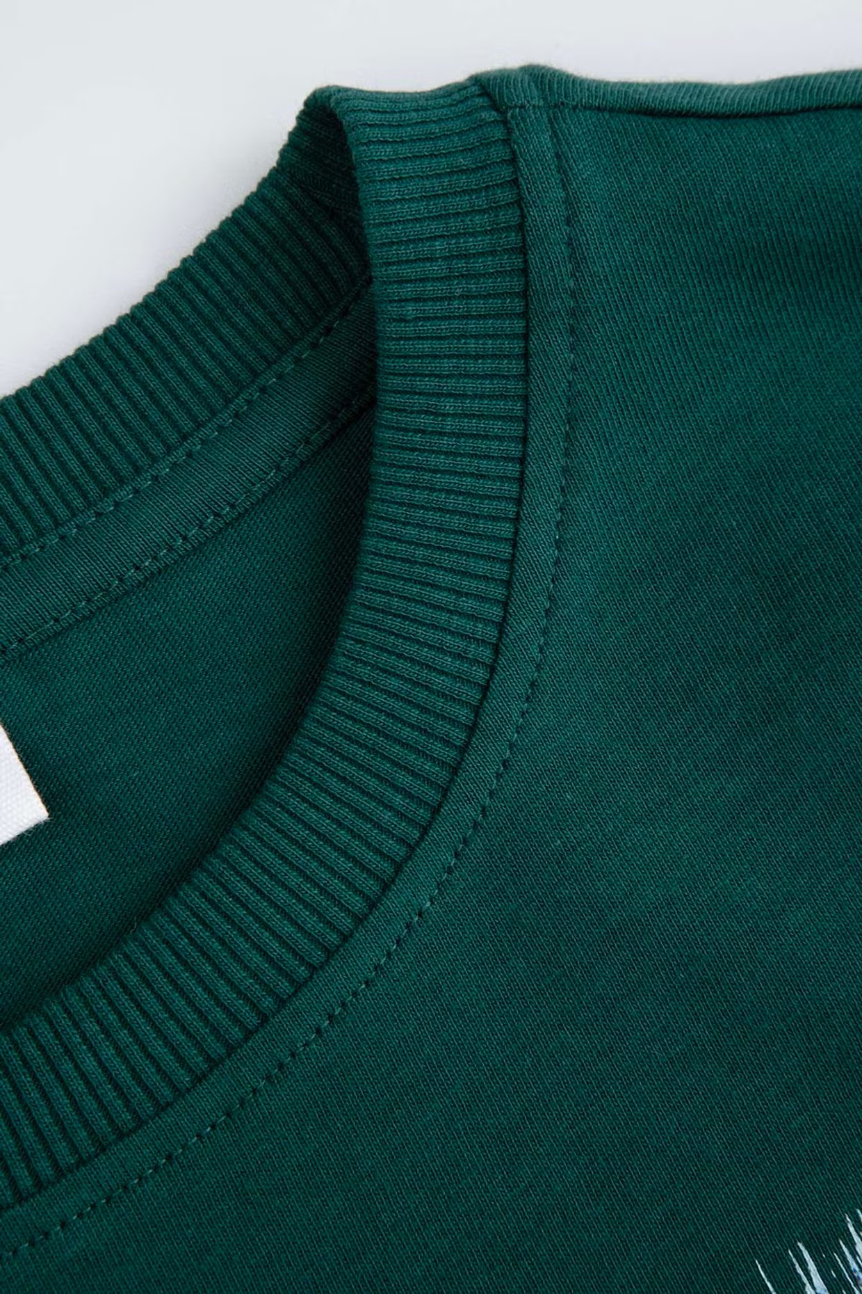 Coccodrillo / Свитшот для мальчика