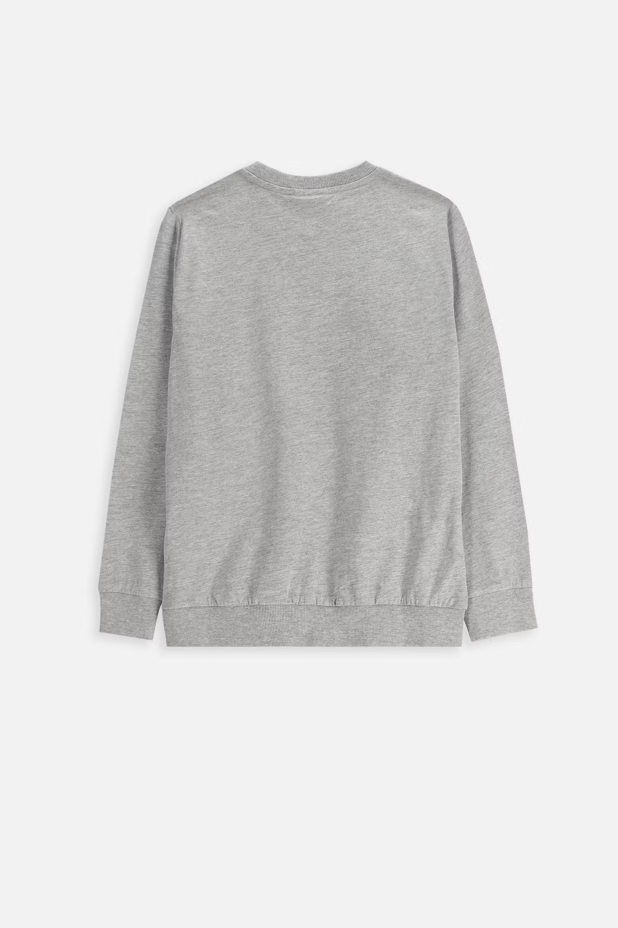 Coccodrillo / Свитшот для мальчика