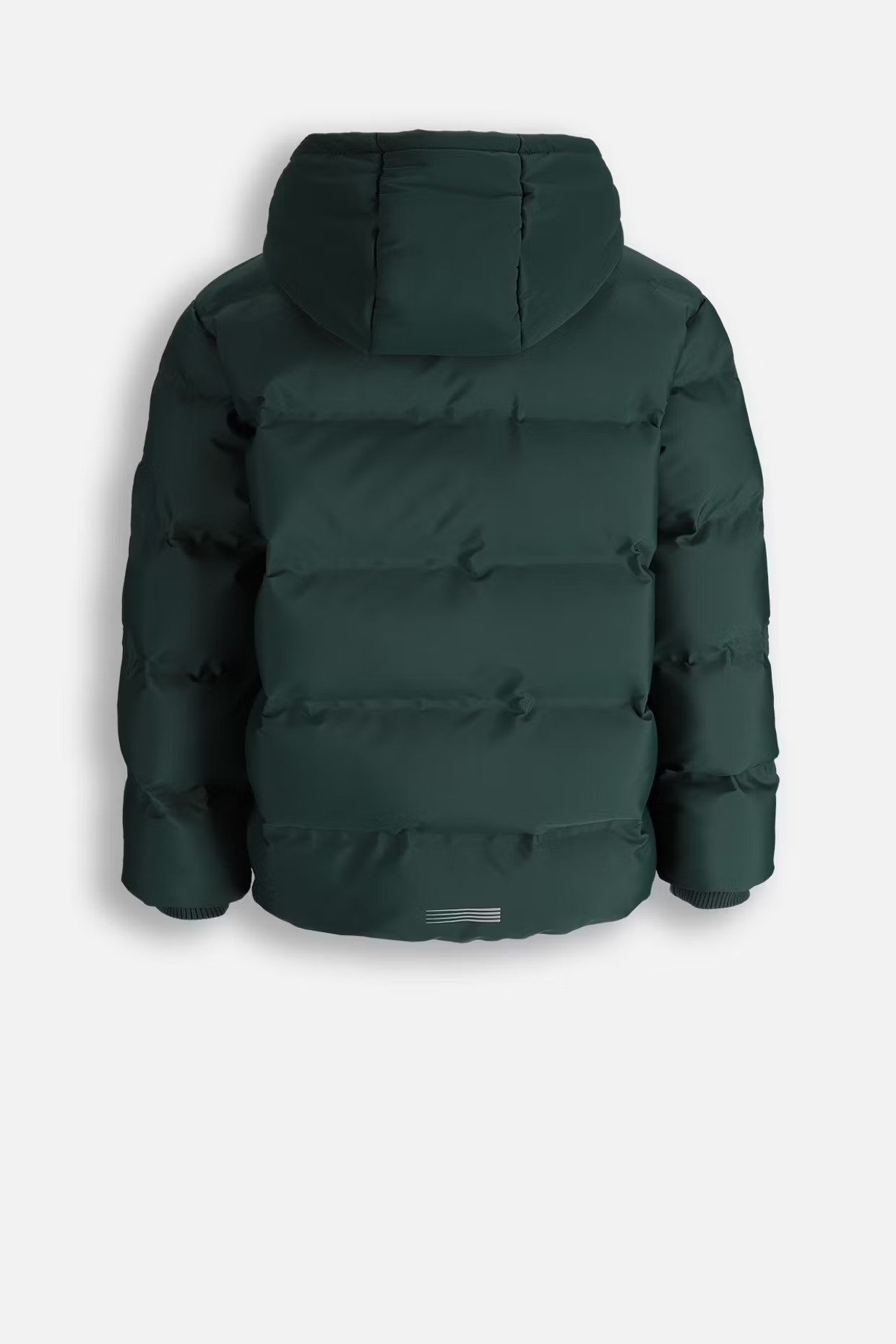 Coccodrillo / Куртка для мальчика - фото 3