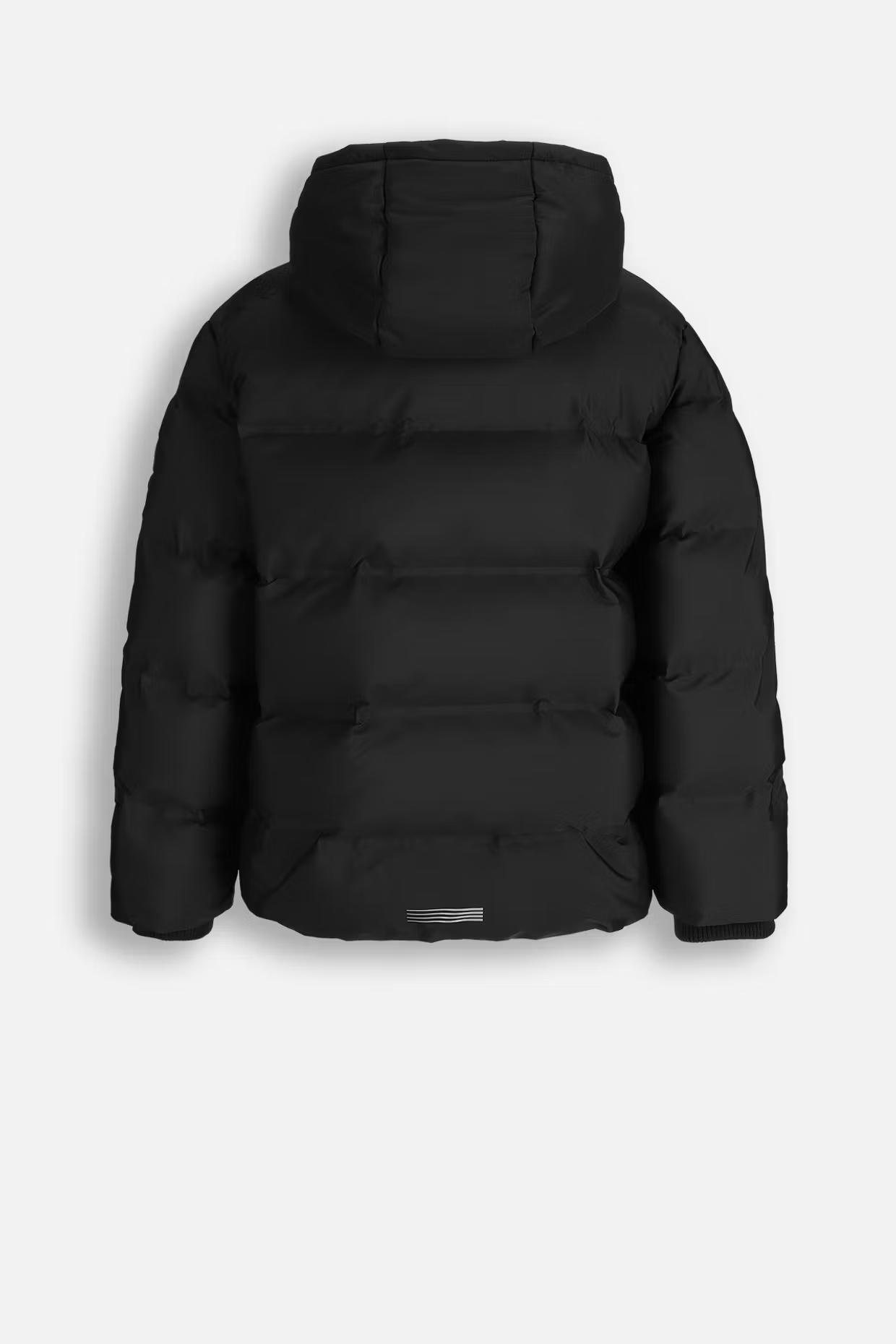 Coccodrillo / Куртка для мальчика - фото 3