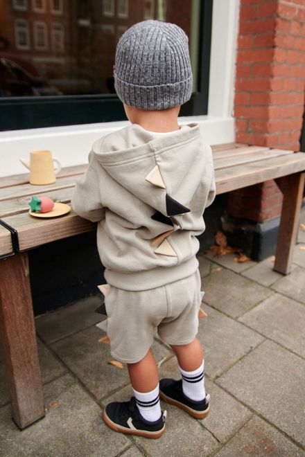 Next / Комплект толстовка и шорты трикотажные для мальчика - фото 2