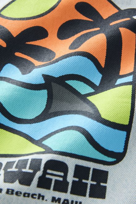 Next / Рубашка джинсовая с принтом на спине для мальчика