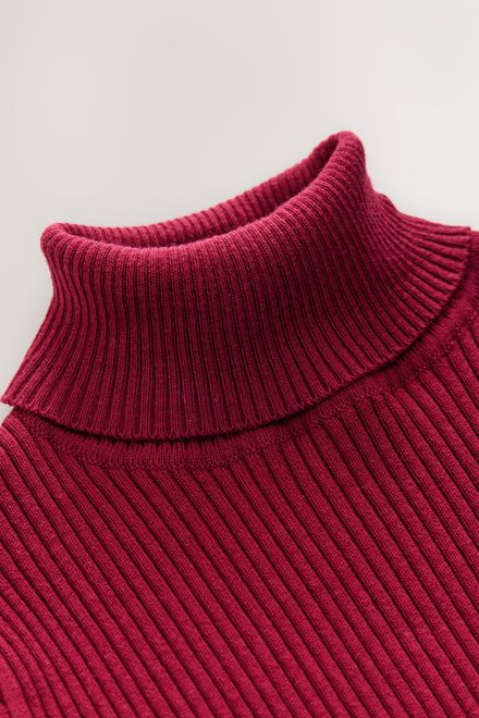 Next / Водолазка для девочки