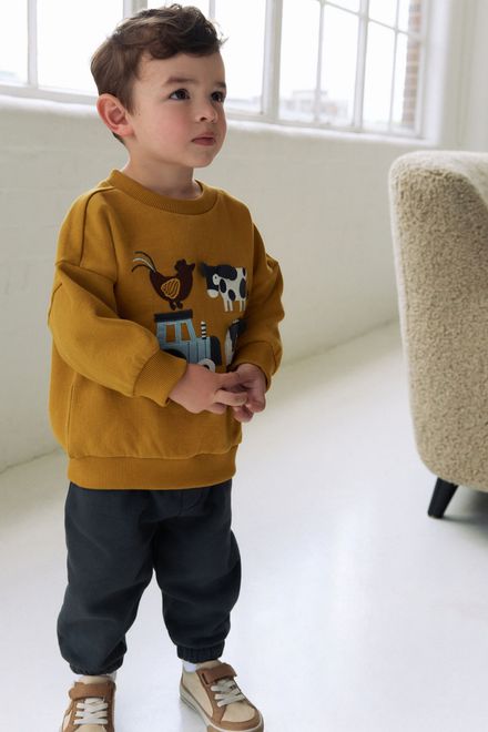 Next / Комплект свитшот с аппликацией и брюки спортивные для мальчика