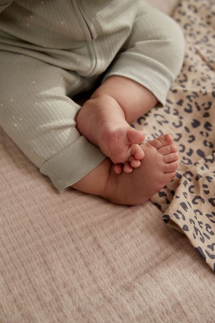 Next / Слип, 3 шт. для девочки - фото 4